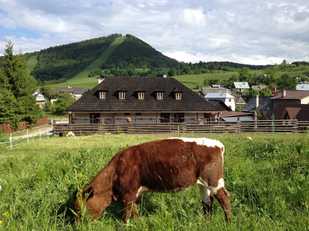 Penzion Javorina Čičmany Kültér fotó